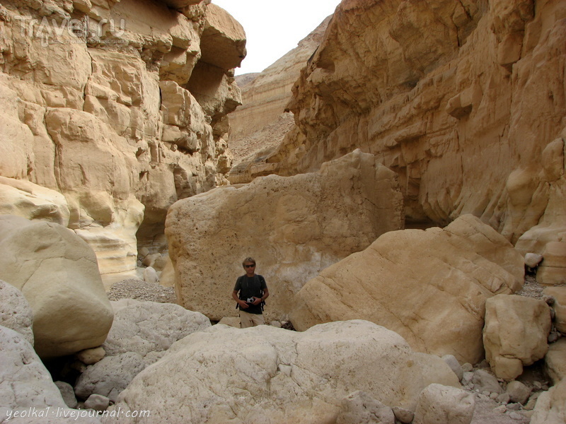 Каньоны Мертвого моря. Ущелье Цеелим. Гай Баhак / Фото из Израиля