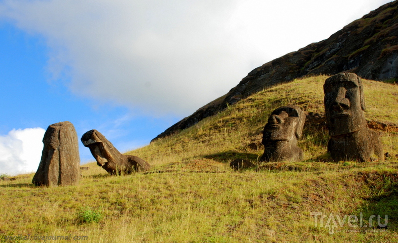 Рано Рараку - здесь рождались моаи / Фото из Чили