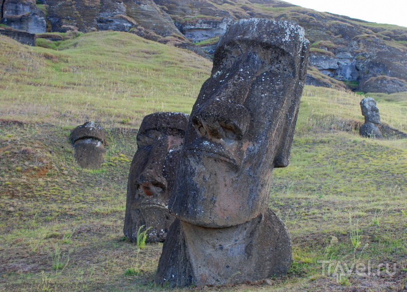 Рано Рараку - здесь рождались моаи / Фото из Чили