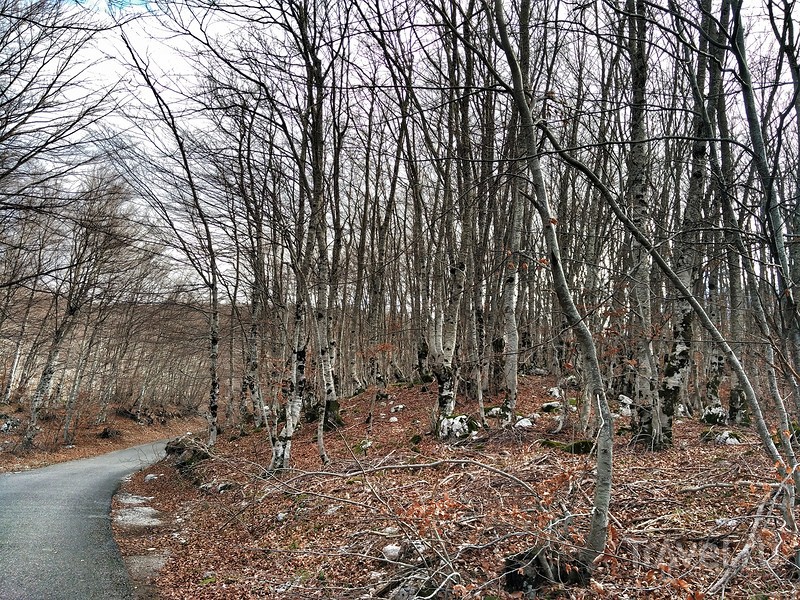 Капитаново озеро - суровая черногорская красота / Фото из Черногории