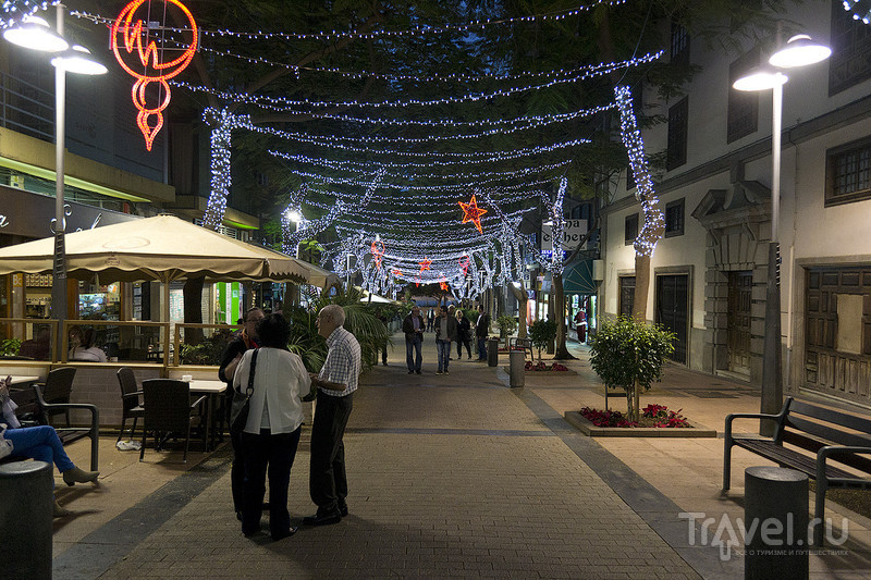 Тенерифе в декабре / Фото из Испании