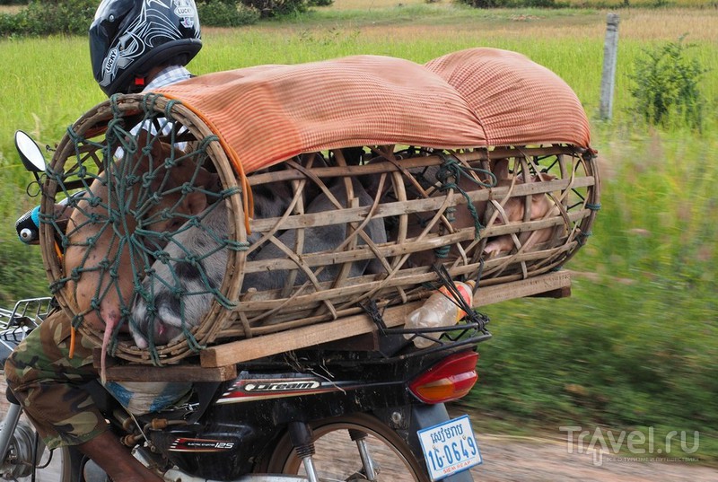 Камбоджа. Пном Кулен / Фото из Камбоджи