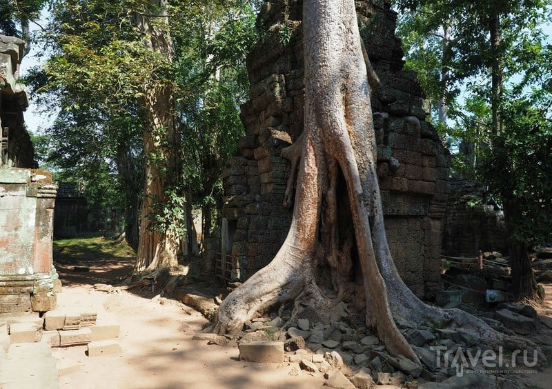 Камбоджа, Ангкор Том / Фото из Камбоджи