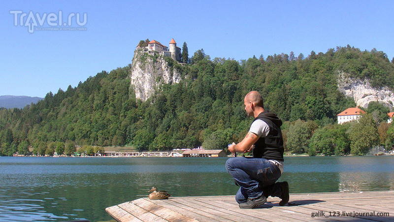 Озеро Блед в Словении / Словения