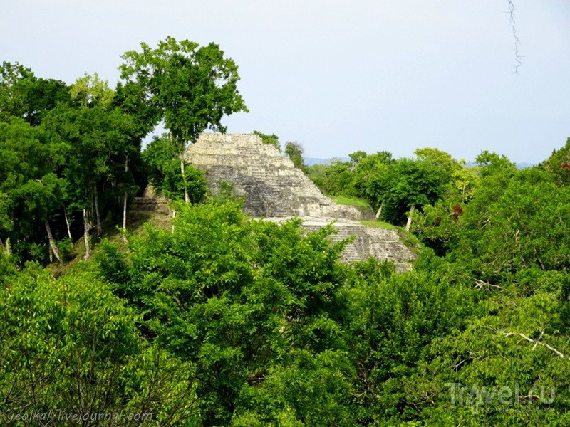 Mundo Maya. Гватемала. Йашха - город зеленой воды / Фото из Гватемалы