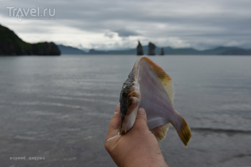 Рыбалка на Камчатке / Фото из России