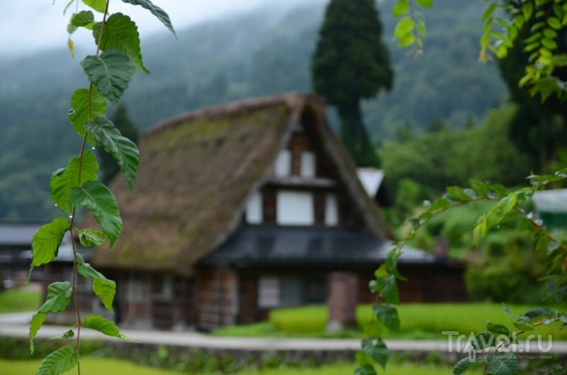 Японская деревня Айнокура. Долина пряничных домиков / Фото из Японии