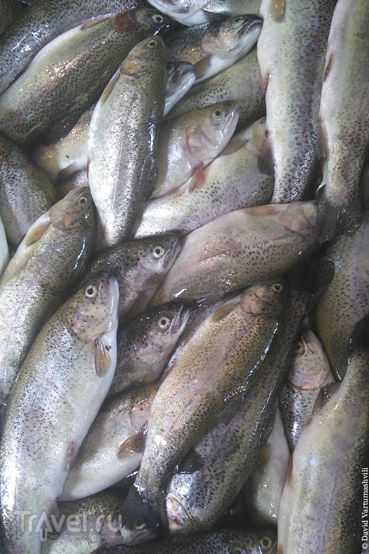 Батумский рыбный рынок / Грузия