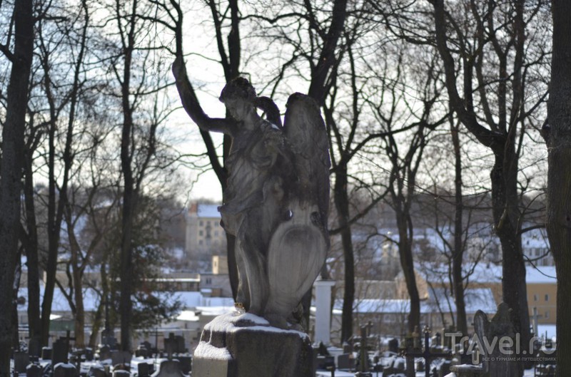 Бернардинское кладбище Вильнюса. Весь я не умру? / Литва