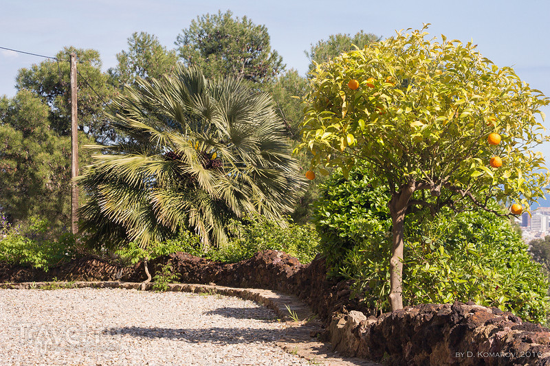 Барселона в объективе пешехода: с горы на гору / Испания