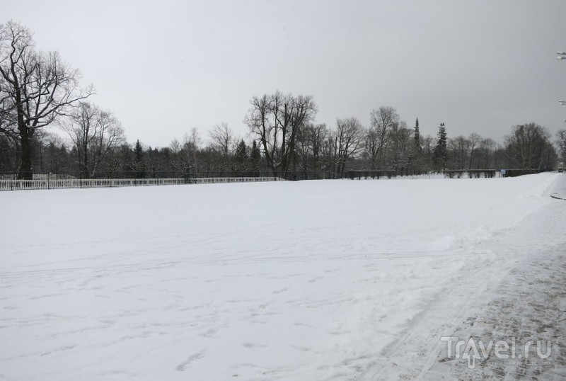 Зимний Петергоф, Нижний парк / Фото из России