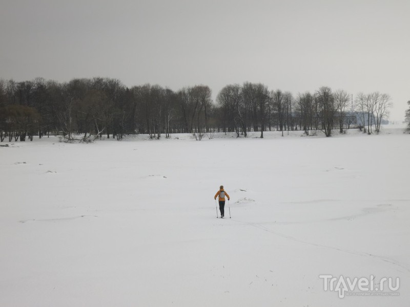 Зимний Петергоф, Нижний парк / Фото из России
