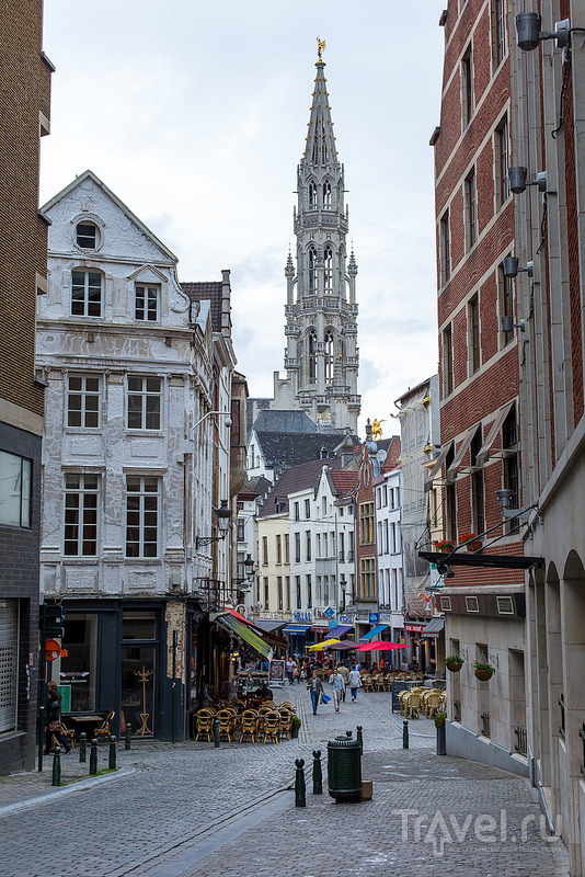 Бельгия / Фото из Бельгии