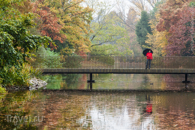   Kew Gardens /   