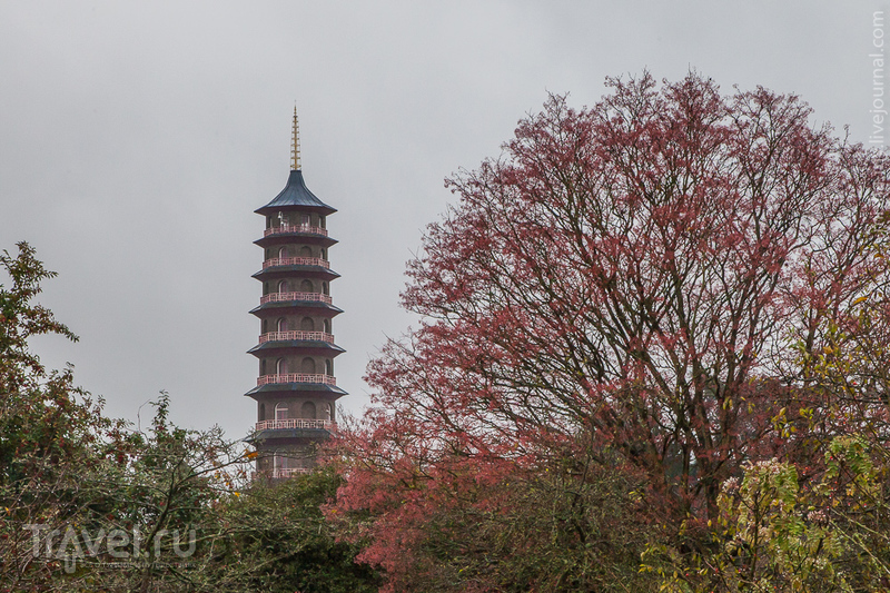   Kew Gardens /   