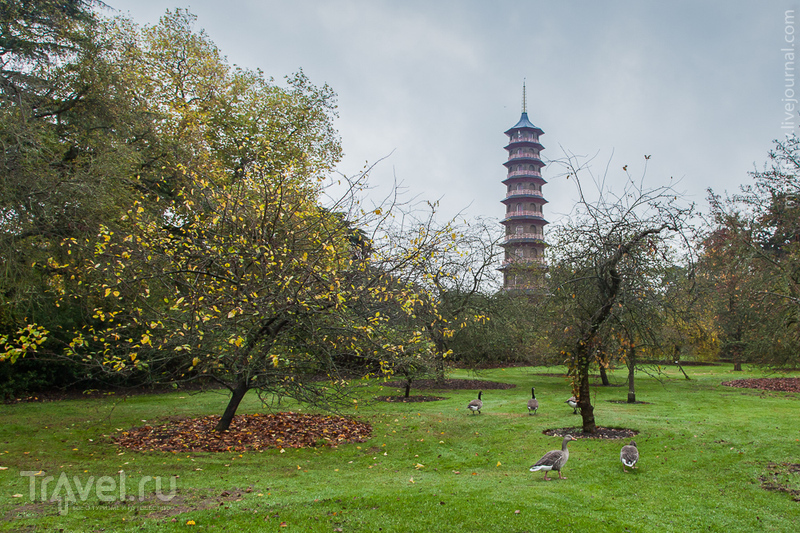 Ботанический сад Kew Gardens / Фото из Великобритании