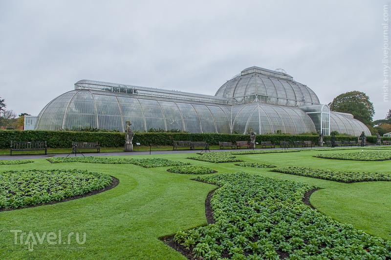 Ботанический сад Kew Gardens / Фото из Великобритании