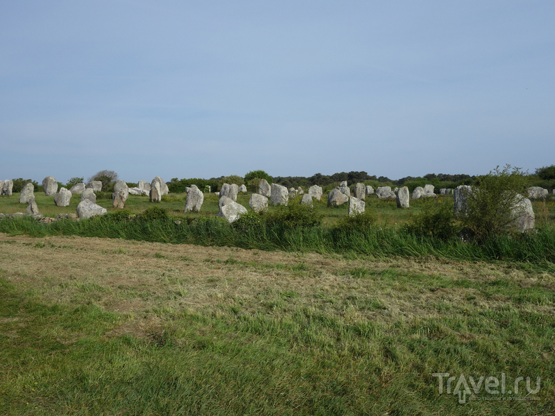 Карнакские камни. Самое мистическое место Франции / Фото из Франции
