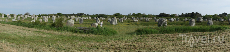 Карнакские камни. Самое мистическое место Франции / Фото из Франции