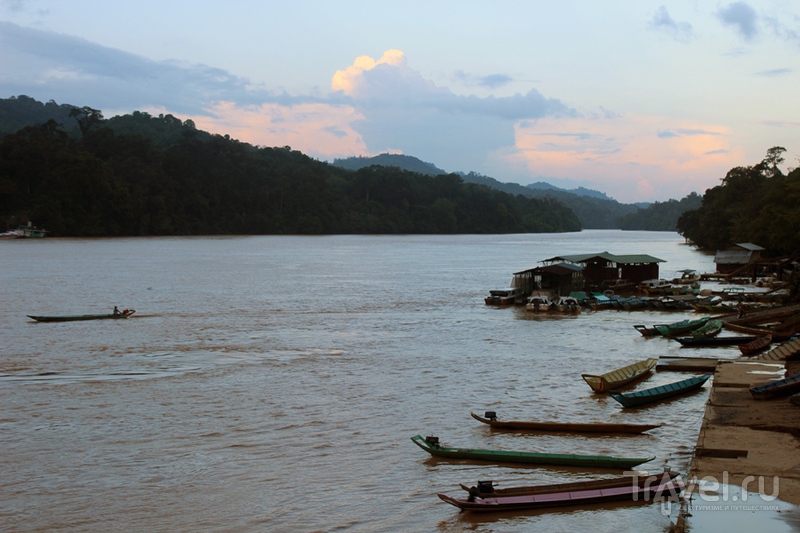 Капит - затерянный мир в глубине острова Борнео / Фото из Малайзии