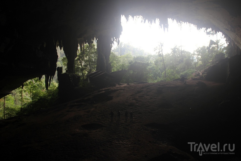 Борнео: пещеры Ниах / Малайзия