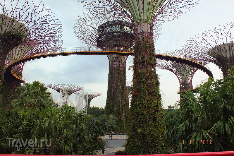 Сингапур. Сады у залива / Сингапур