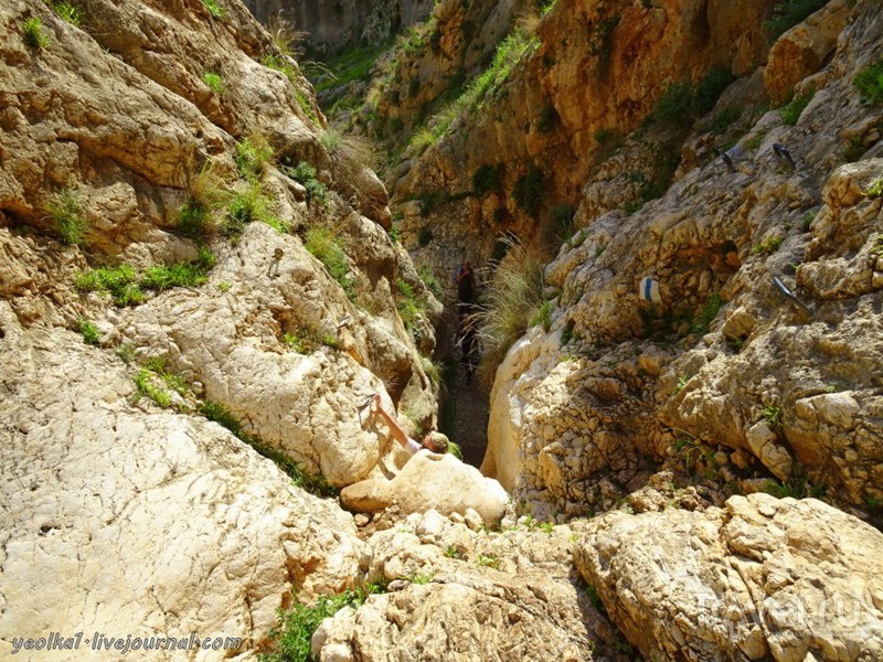 Иорданская долина. Вади Такид и вади Фиран / Фото из Израиля