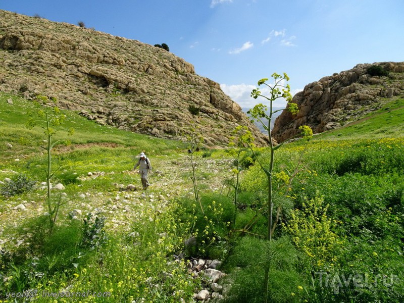 Иорданская долина. Вади Такид и вади Фиран / Фото из Израиля
