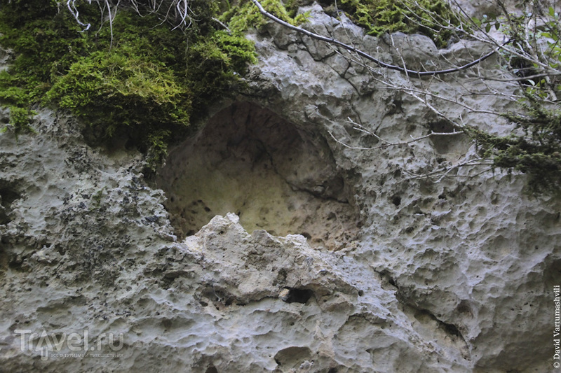 Грузия, Сатаплиа: пещера, динозавры и мёд / Фото из Грузии