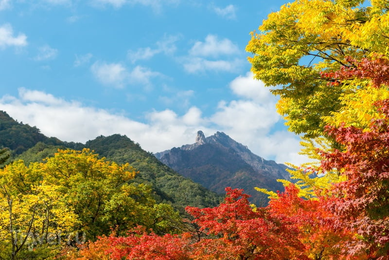 Южная Корея: четыре ярких сезона!
