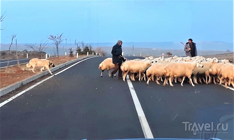 Каппадокия: неземные пейзажи в нескольких часах лета / Фото из Турции