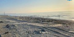 Первый пляж откроется на Балтийской косе