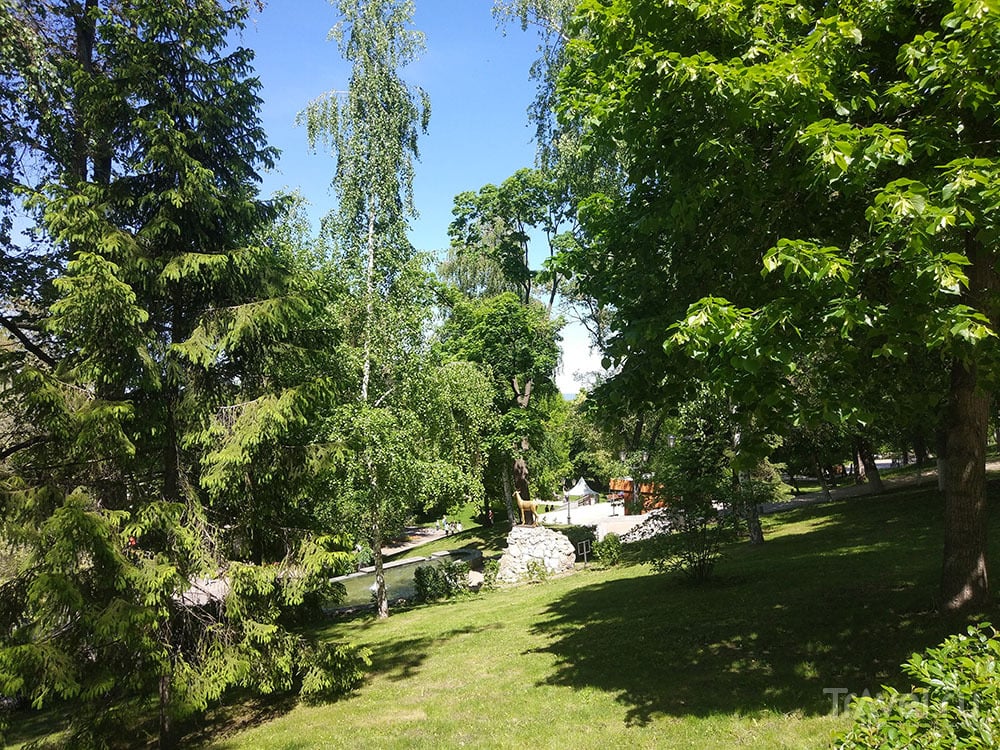 Струковский сад на берегу Волги / Фото из России
