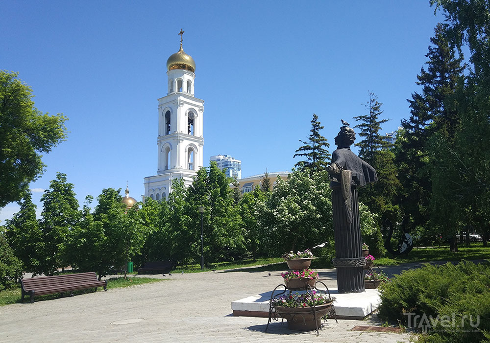 Памятник Пушкину с голубем на голове / Фото из России