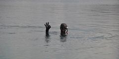 Подводный парк Янтарный принял первых посетителей