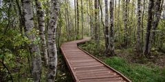 В Ленинградской области ввели плату за прогулки по экотропам