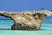 Острова Фарасан в 300 км от Джидды. Фото: AP