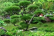 Японский сад. Фото: tours.ru