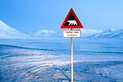 Национальный экологический парк "Три медведя" привлечет экотуристов. / GettyImages