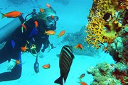 В заповеднике Рас-Мохаммад - более тысячи различных видов рыб и 150 видов кораллов. // saga.ua