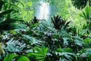 Национальные парки занимают 25% территории Коста-Рики. // ИТАР-ТАСС