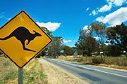 Австралия признана наиболее привлекательной для туристов страной. // GettyImages