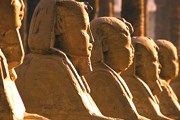 Достопримечательности и курорты Египта посетило более 9 млн туристов. // GettyImages