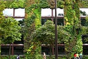  Музей примитивного искусства в Париже, украшенный "вертикальным садом". // verticalgardenpatrickblanc.com