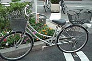 Общественным велосипедом можно будет пользоваться бесплатно. // newsru.com