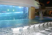 Отель Лас-Вегаса предлагает понаблюдать за акулами. // goldennugget.com