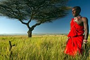 Туристки набрасываются на кенийских мужчин. // GettyImages