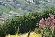 Цветущий холм в Бергамо // virtualtourist.com