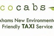 Экологически чистые такси совершенно бесплатны для клиентов. // totaltravel.co.uk