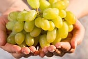 Кахети - главная область виноделия в Грузии. // GettyImages